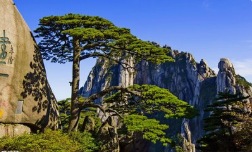 團(tuán)建|魅力初秋，歡歌同行 -2019鑫創(chuàng)夏令營
